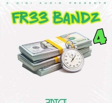 Innovative Samples FR33 BandZ 4 WAV